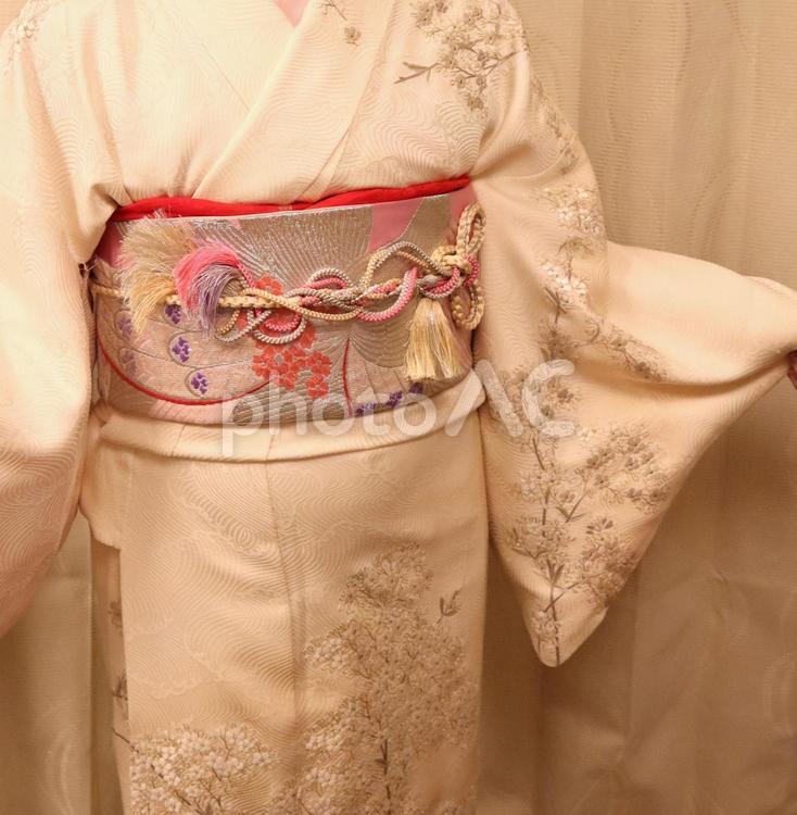 着物を着た女性ピンクの帯と変わり結びの帯締め 訪問着,着物,帯締めの写真素材