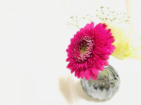 花 花の写真