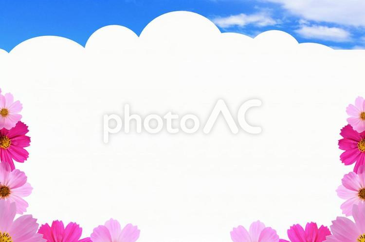 秋桜フレーム 秋桜,コスモス,優しいの写真素材