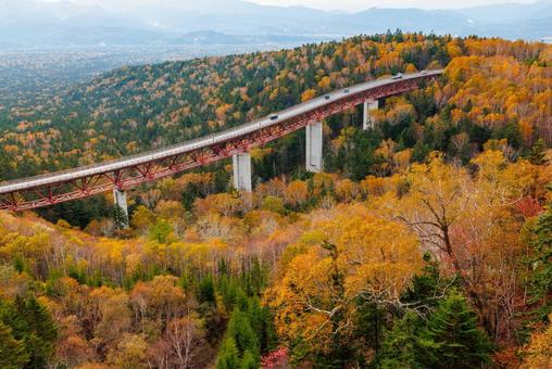 秋の三国峠 三国峠,秋,紅葉の写真素材