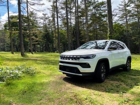 車 suv,森林,森の写真素材