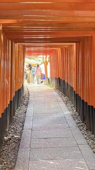 異世界への入口、終わりなき朱のトンネル 伏見稲荷大社,千本鳥居,鳥居の写真素材