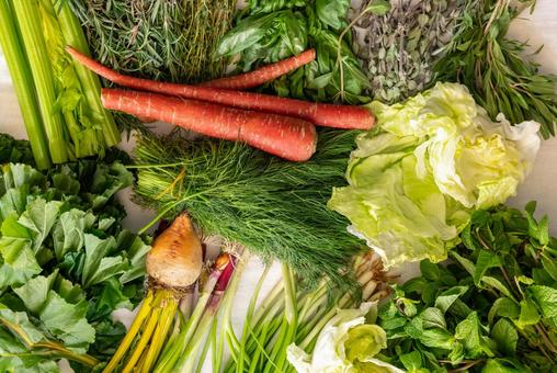 たくさんの種類の野菜やハーブ たくさんの種類の野菜やハーブの写真