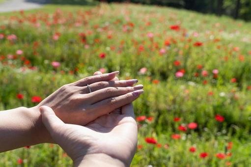 春の花畑で手を重ねるカップル① 春の花畑で手を重ねるカップル① 恋人,カップル,手をつなぐの写真素材