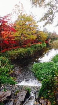 秋 紅葉 自然 風景 池 水 秋 紅葉 自然 風景 池 水の写真