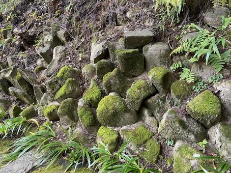 石と苔 石と苔の写真