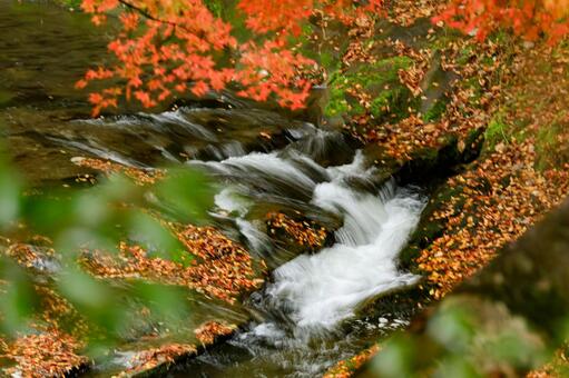 粟又の滝 粟又の滝,紅葉,養老渓谷の写真素材