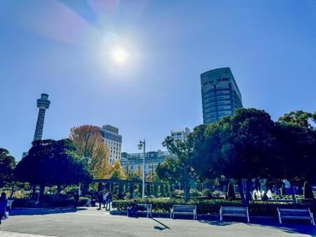 昼頃の山下公園 昼頃の山下公園の写真