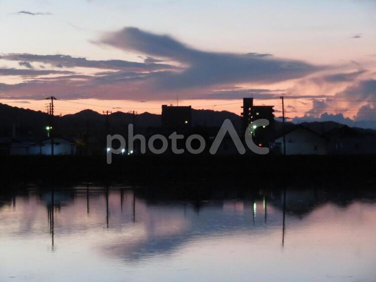 夏の早朝のウサギ雲 背景,ウサギ,雲の写真素材