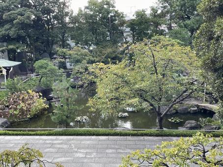 日本庭園 日本庭園,池,西新井大師の写真素材