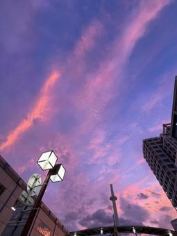 秋空 秋,屋外,風景の写真素材