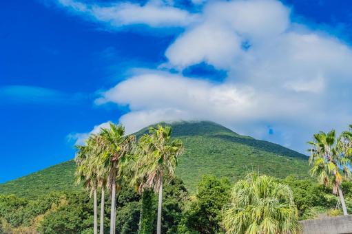 鹿児島　開聞山麓自然公園（トカラ馬牧場） 開聞山麓自然公園,トカラ馬牧場,開聞岳の写真素材