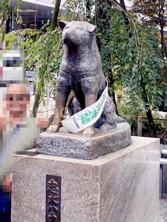 東京風景・渋谷 渋谷,ハチ公,忠犬ハチ公の写真素材