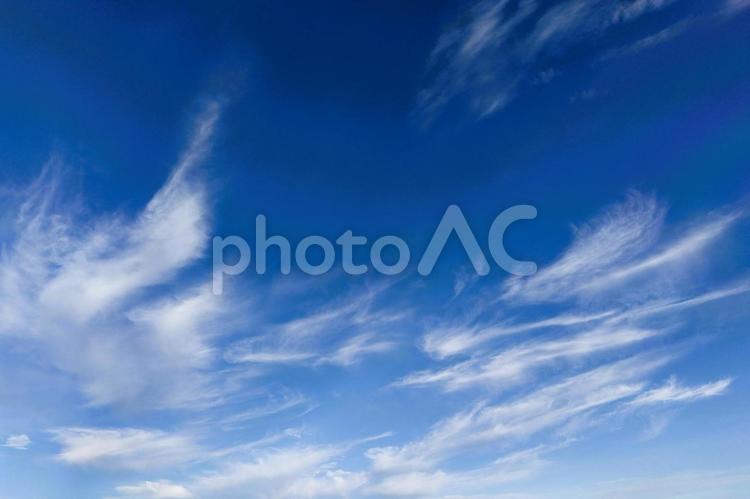 秋の空、筋状の白い雲 秋の空,空,雲の写真素材