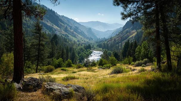 穏やかな午後の光に包まれた自然のパノラマの写真