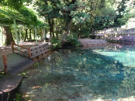 別府弁天池 別府弁天池の写真