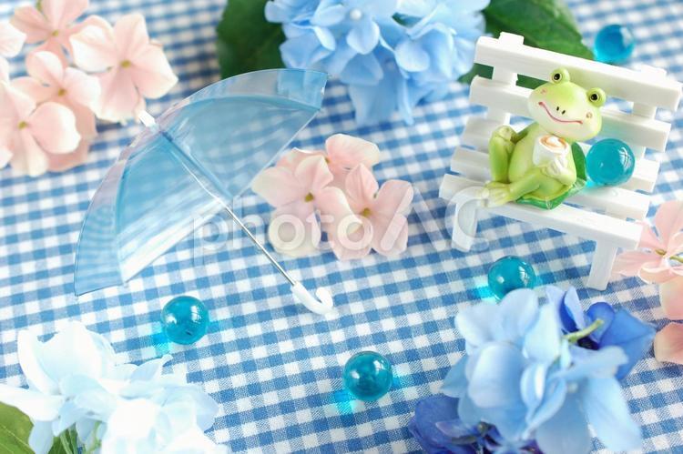 カエルのティータイムと紫陽花⑦ 梅雨,紫陽花,あじさいの写真素材