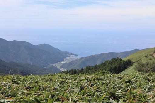 西伊豆仁科峠展望台からの景色 木,空,自然の写真素材
