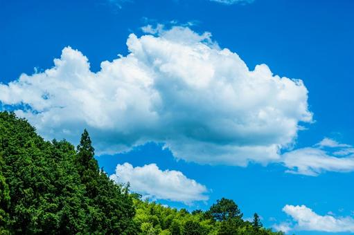 森林と青空 森林と青空の写真