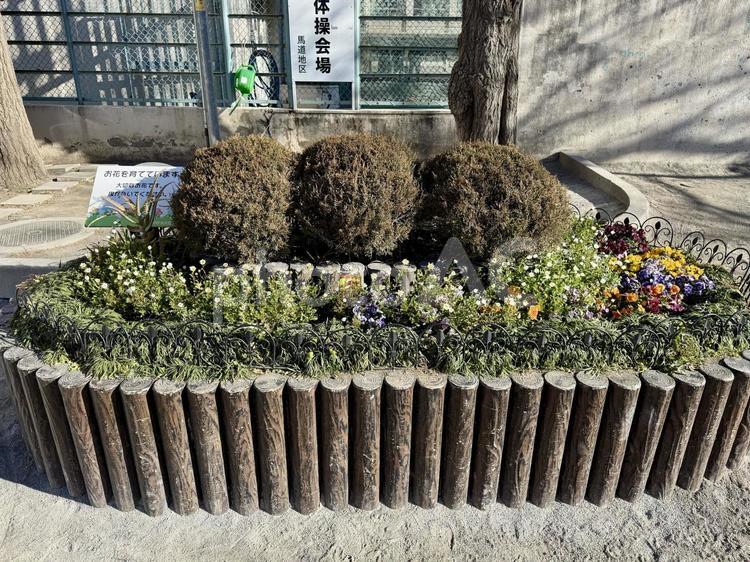公園の中の花壇 造園,カラフル,緑化の写真素材
