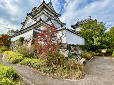 岸和田城 大阪,大阪府,岸和田の写真素材