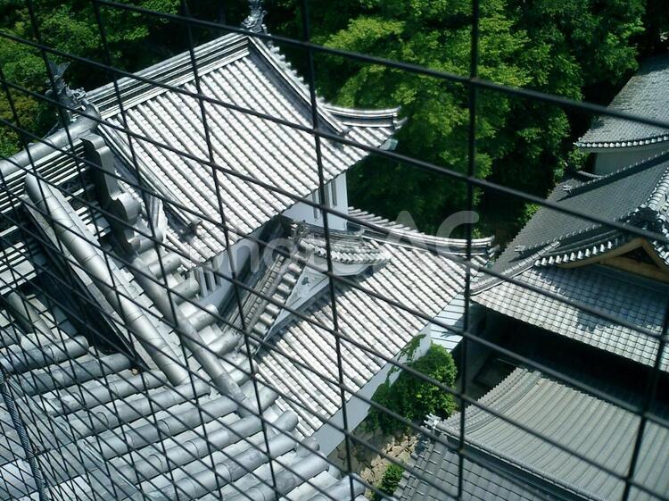 岡崎城天守閣からの東隅櫓 岡崎城,岡崎,愛知県の写真素材