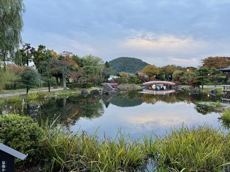 秋の夕方　福井県紫式部公園 夕方,夕暮れ,夕雲の写真素材