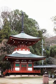 慈尊院 慈尊院の写真