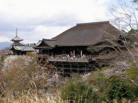 京都 清水寺 京都 清水寺の写真