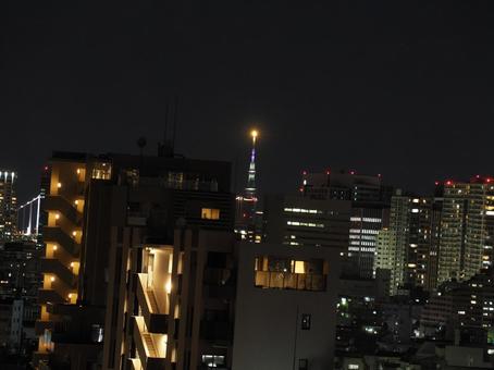スカイツリーと夜景 スカイツリーと夜景の写真