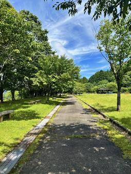 Photo, that chi sipo-cho, oyunori mountain, kumano kodo entrance, 