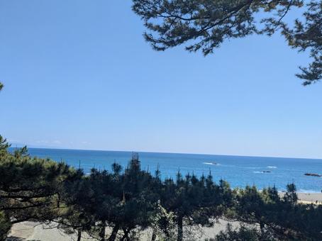 桂浜海岸 桂浜海岸の写真