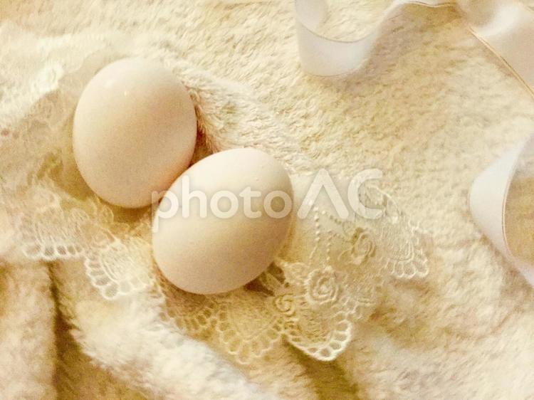 たまごとレースとリボン 卵,命,マタニティの写真素材