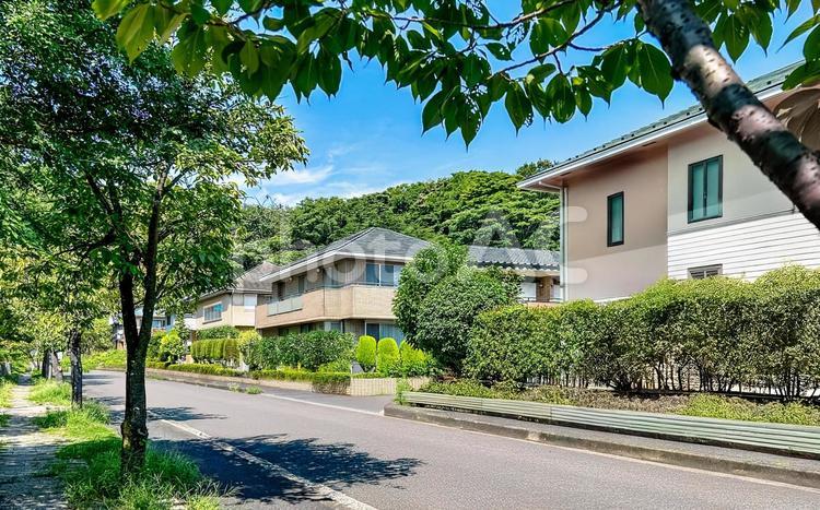 山や公園の緑が囲んでいる自然豊かな住宅街 家,戸建て,住宅の写真素材