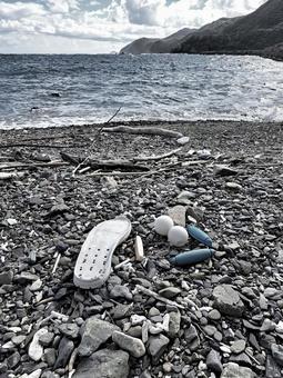 浜辺の漂流物 浜辺の漂流物の写真
