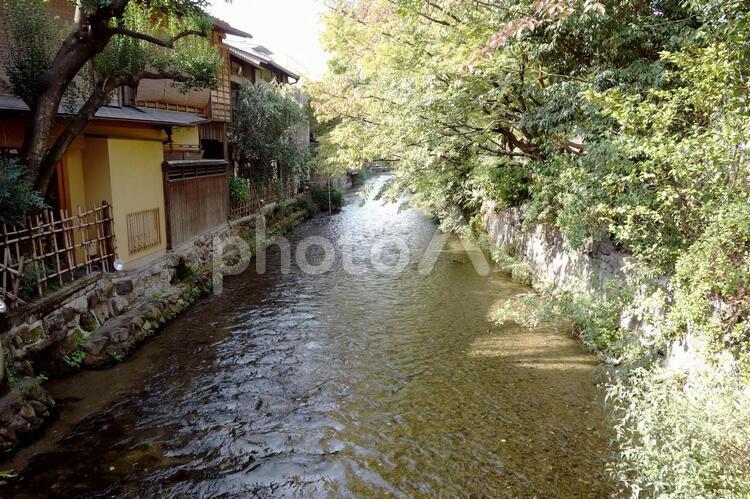 京都白川の流れと町屋の風景 京都,白川,町屋の写真素材