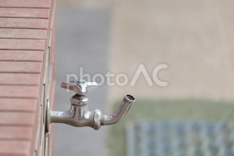 蛇口 蛇口,水,飲むの写真素材