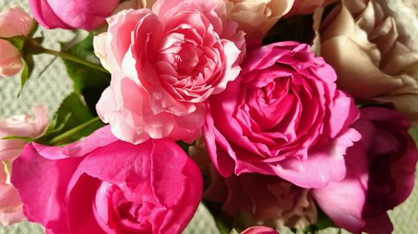 バラの花 バラの花 バラ,花,花束の写真素材