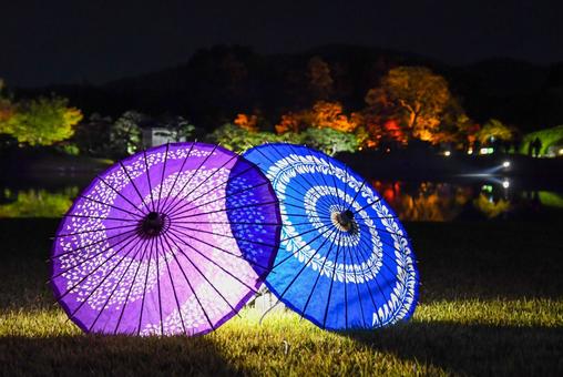 岡山後楽園のライトアップされた和傘 岡山後楽園のライトアップされた和傘 岡山後楽園,秋の幻想庭園,ライトアップの写真素材