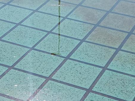 水中の中のタイル 水中の中のタイルの写真