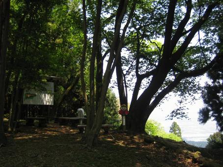 菩提山城 本丸跡 菩提山城 本丸跡の写真
