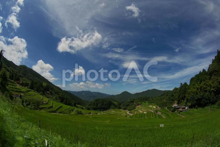 晴れた日の山の中の緑色の棚田の魚眼撮影 風景,山,空の写真素材