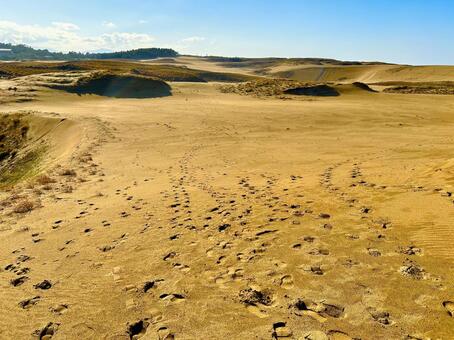 鳥取砂丘 鳥取,鳥取砂丘,鳥取県の写真素材