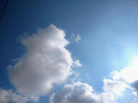 眩しい空 眩しい空の写真