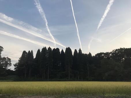 飛行機雲の写真