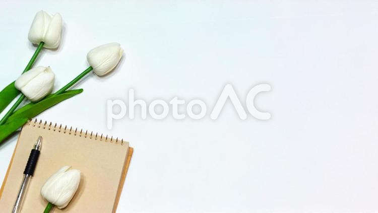 チューリップとノートとペンの写真 チューリップ,ノート,ペンの写真素材