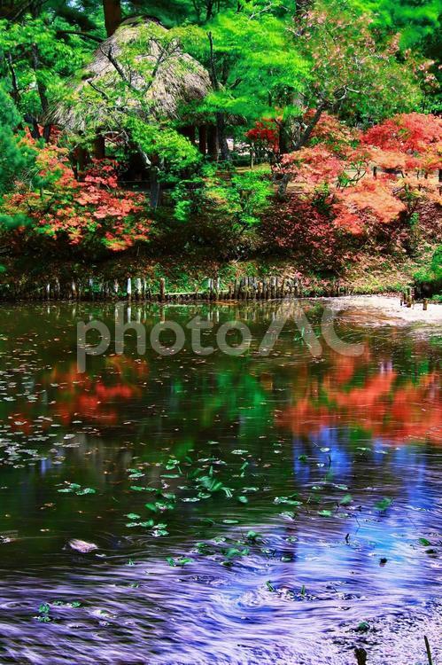 春の公園のイメージ 公園,春,自然の写真素材