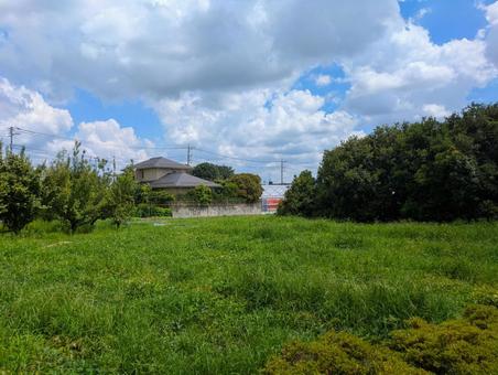 田舎道 田舎道 自然,原っぱ,草木の写真素材