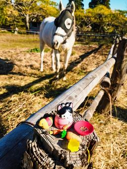 午年小物と白馬と 馬,白馬,牧場の写真素材