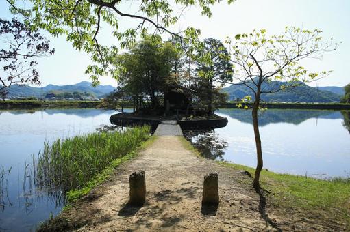 Photo, shuhin shrine, a shrine, trees, 